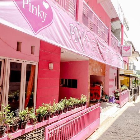 巴图粉红宾馆酒店 外观 照片