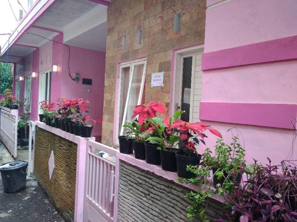 巴图粉红宾馆酒店 外观 照片